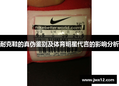 耐克鞋的真伪鉴别及体育明星代言的影响分析